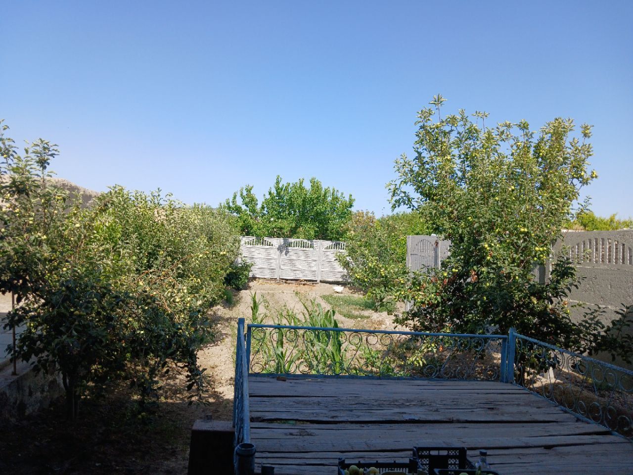 Xovli sotiladi 500 kvm