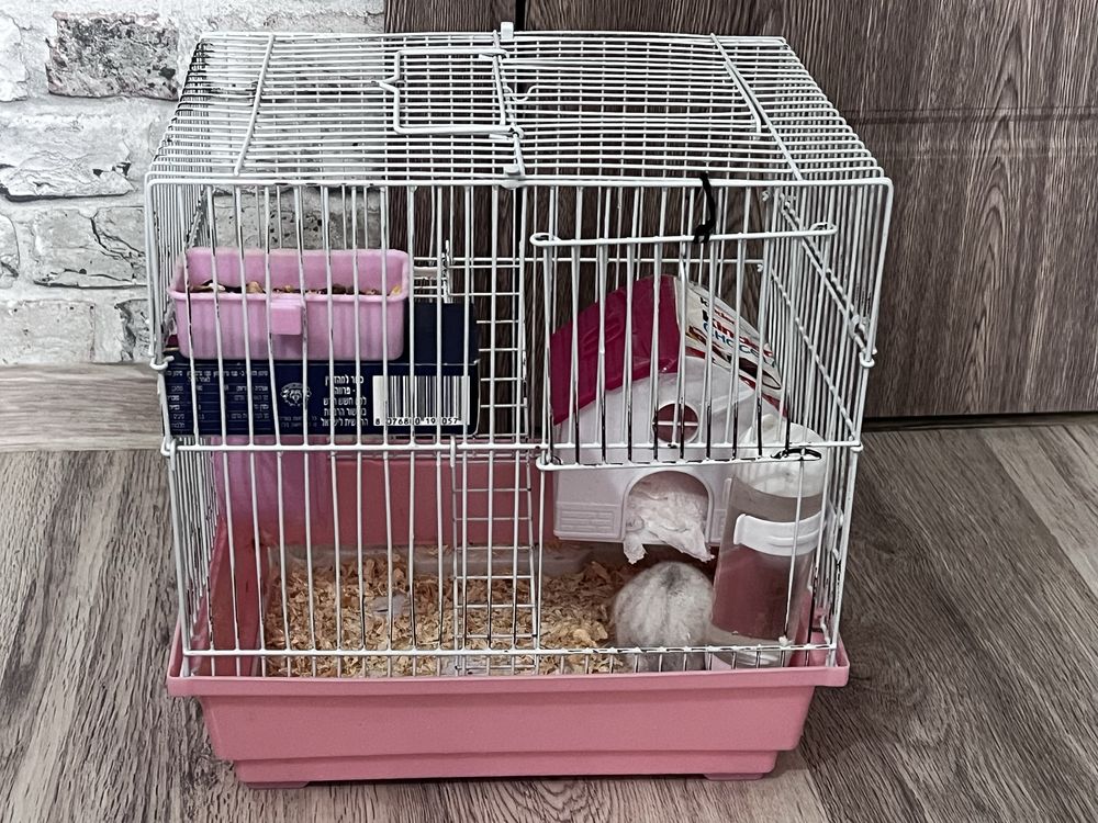 Hamster cu tot cu cusca