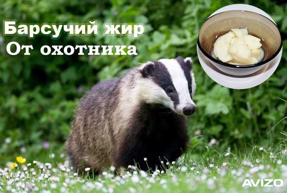 Свежевытопленный жир!