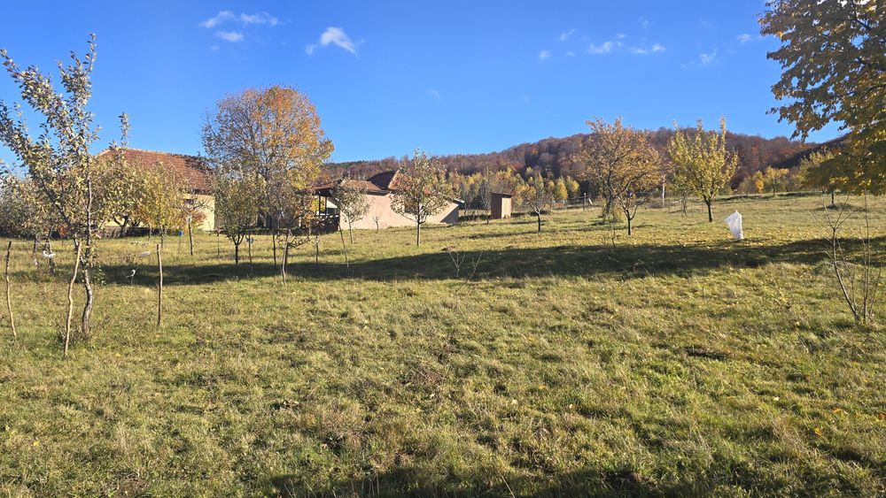 Vand casa si teren la Damiș