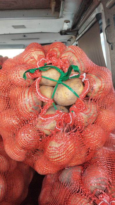 Продам домашний картофель