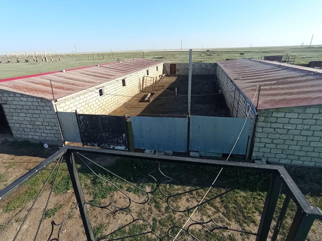 ЛПХ(личное подсобное хозяйство)