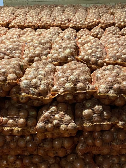 Ceapa romania sac 18kg