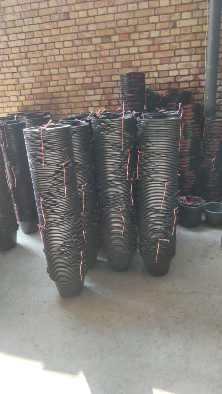 Panda chelak 10l