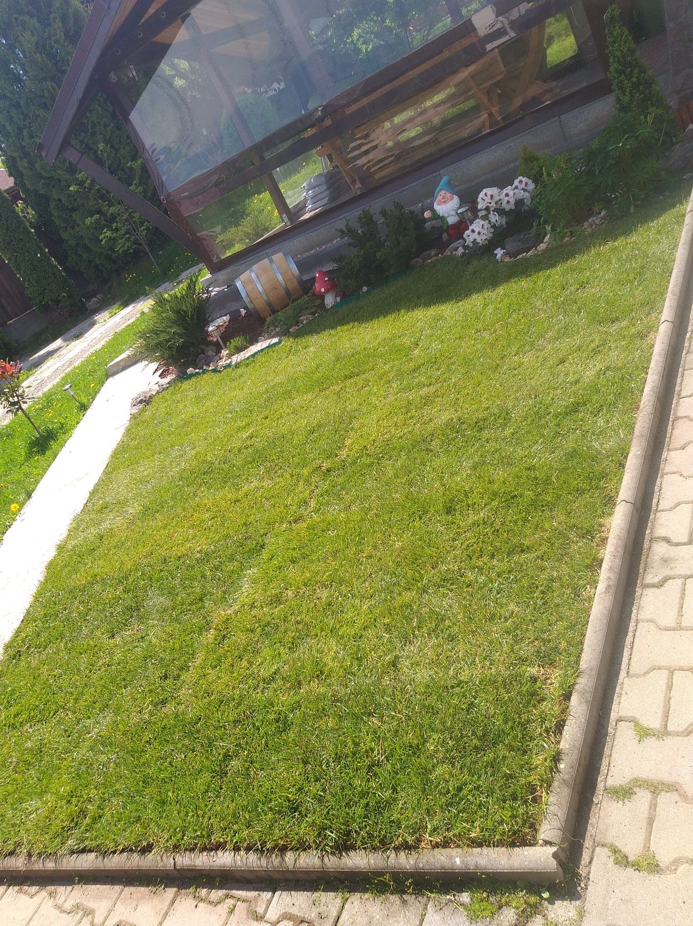 Gazon rulou cu plasa