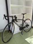 Bicicleta Carbon Tarmac Specialized