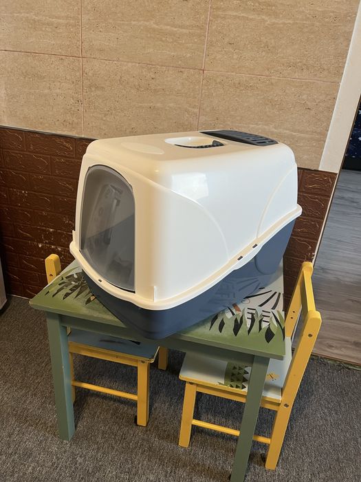 Donez motanel in varsta de 5 luni