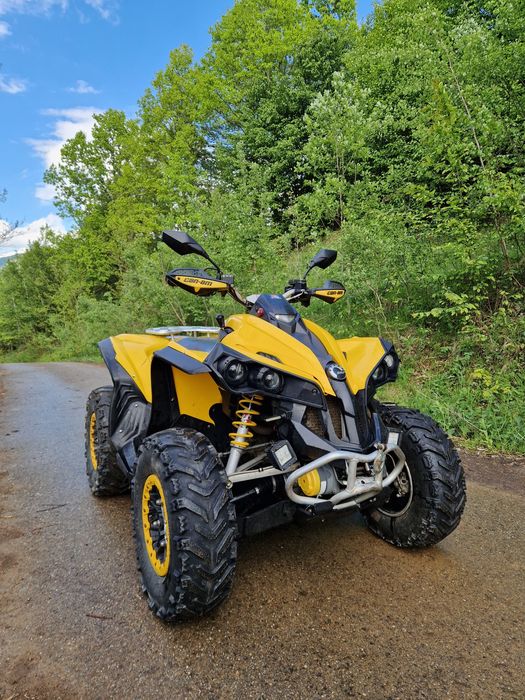 Can am renegade 800