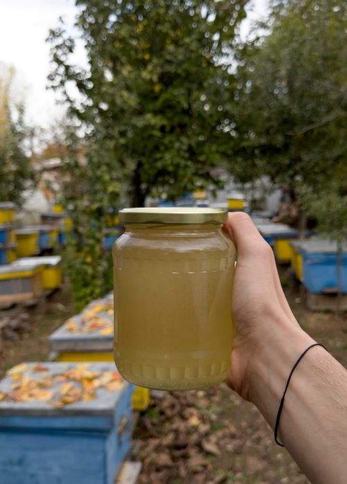 Vând miere de salcâm 100% naturală - stupină proprie