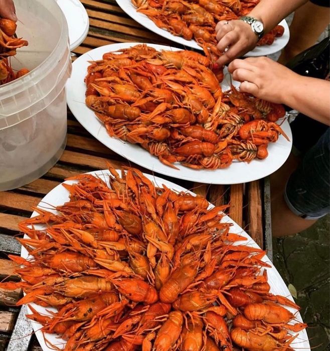 Раки и морепродукты г.Алматы