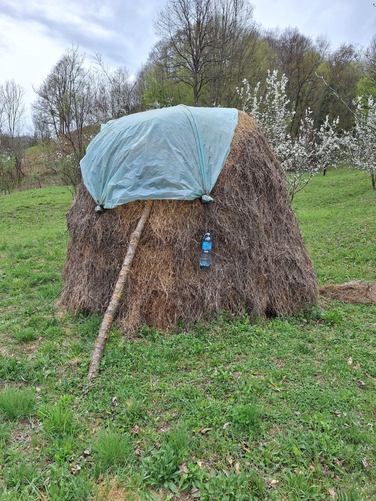 Vând fân de grădină