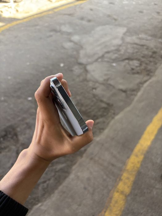 iPhone 13 pro max ideal