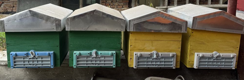 cutii stupi plus cat