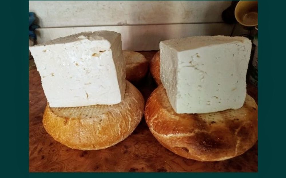 Lapte  si branza de capra!