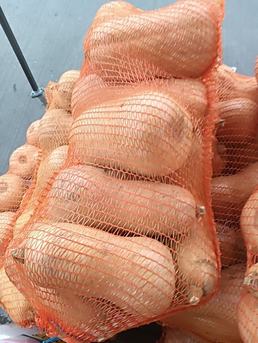 Plăcintari 2 lei kg