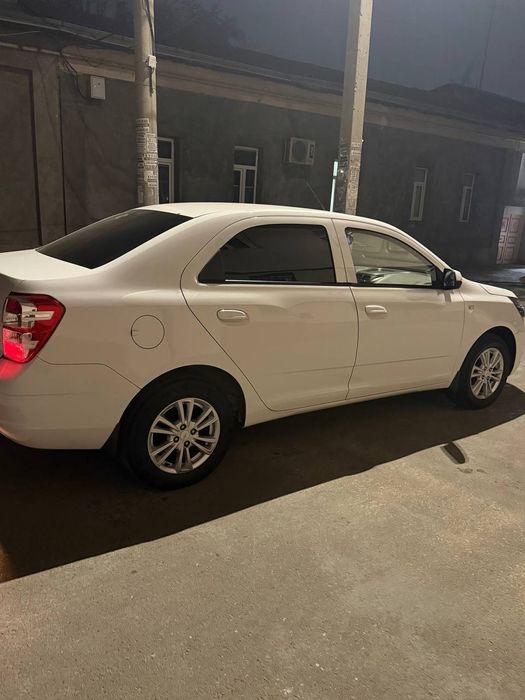 Cobalt 2024 yil oq proveg 40550