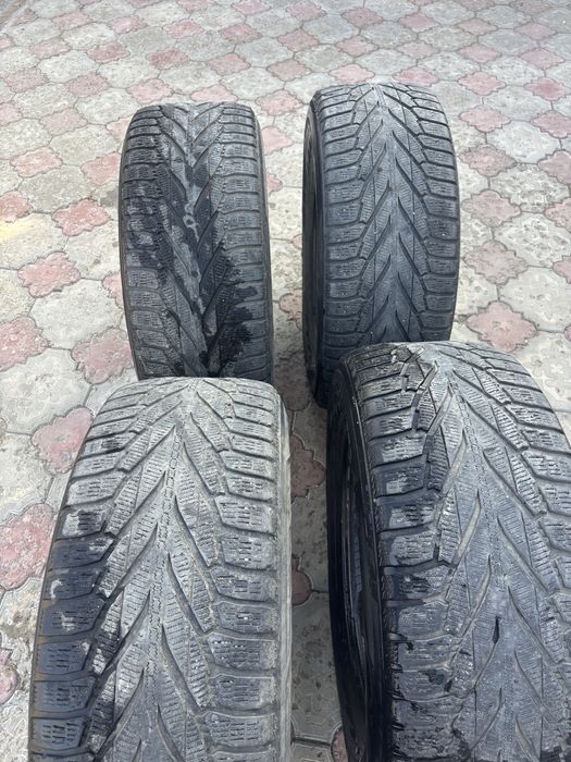 Зимние шины Нокиан