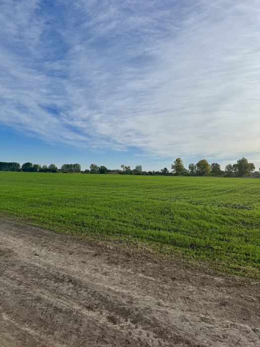 Имот с.Ягодово,обл.Пловдив