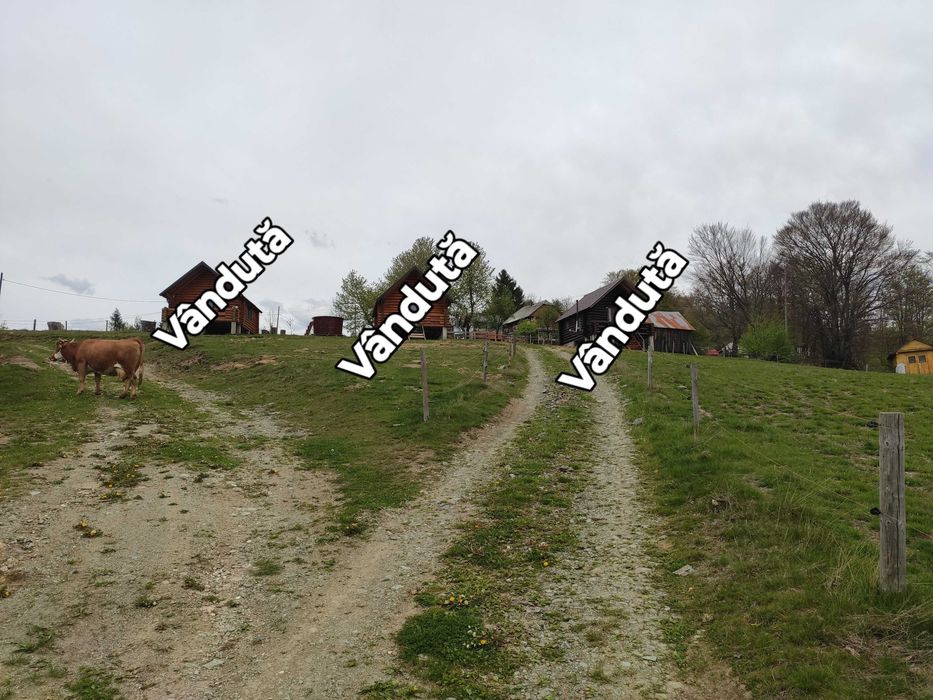 Vand Parcele in  Arieseni