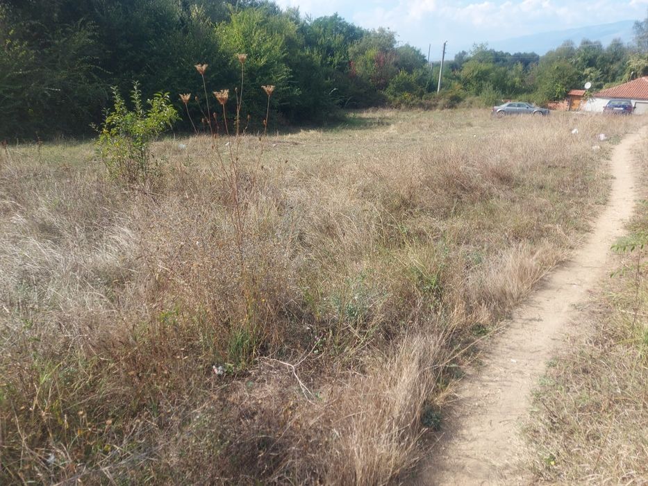 Продава се Парцел в с. Пролом, Област Пловдив - 2090 кв.м за 6 €/кв.м - Снимка #4