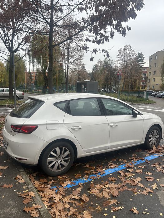 Seat Leon ianuarie 2015