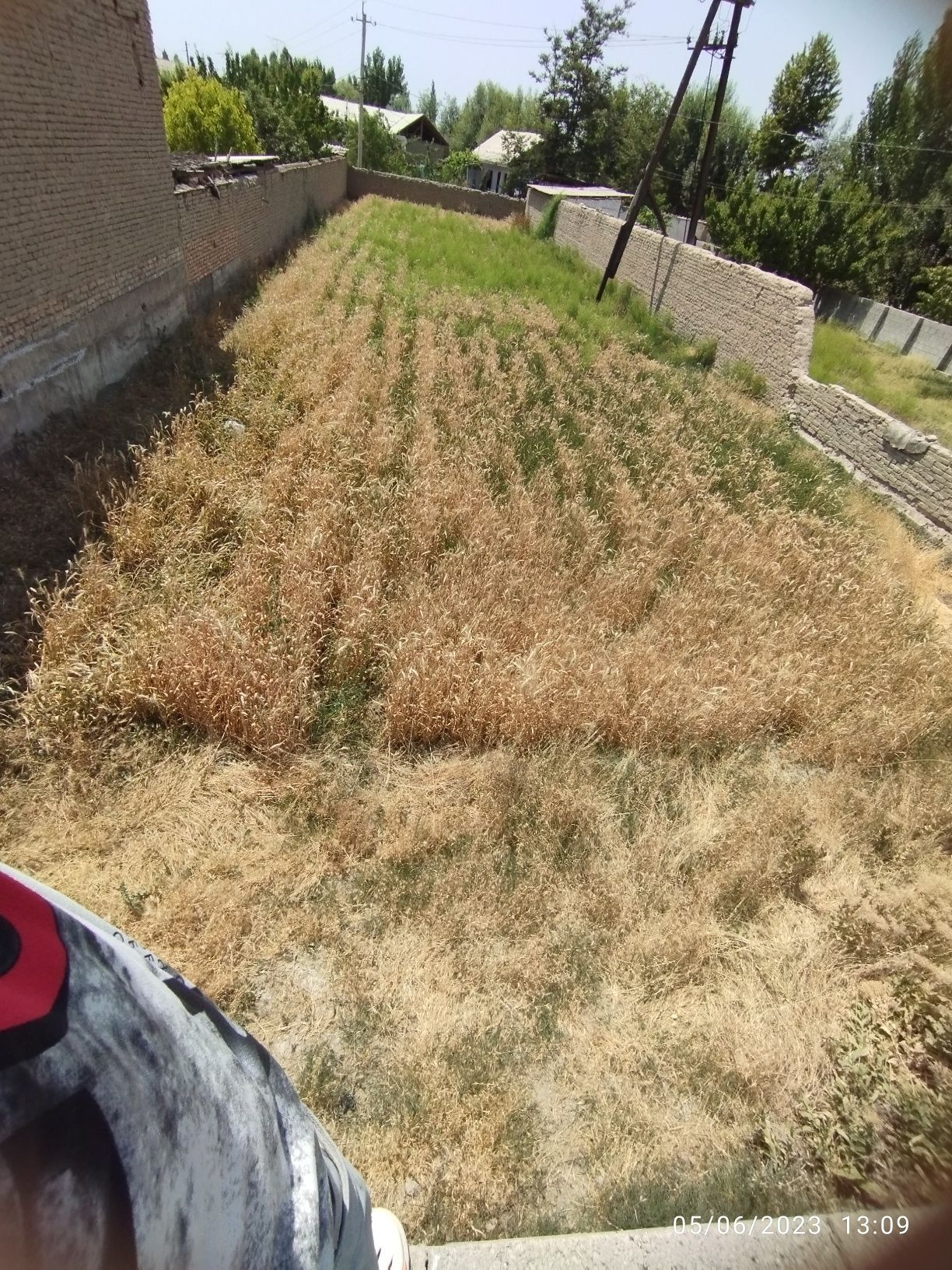 Fargona viloyati,quva tumani chek sotiladi