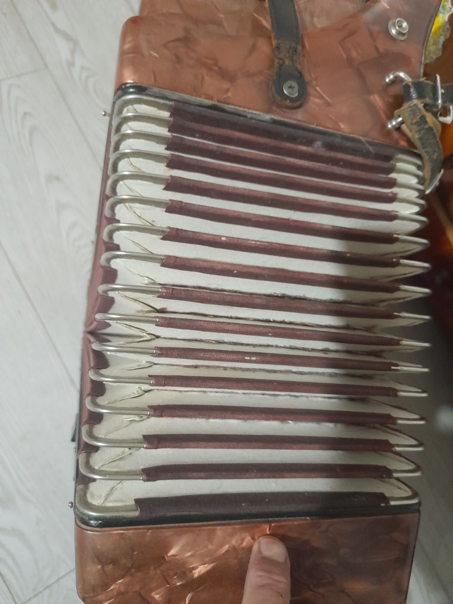 Acordeon în stare bună