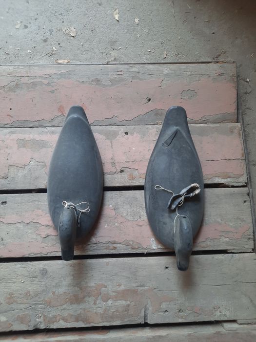 Подсадные утки хорошие