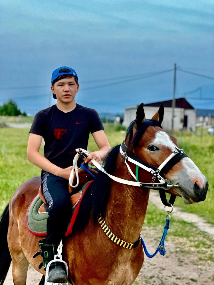 Пышпе ат сатылады.