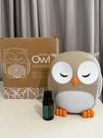 Doterra difuzor Bufnita + ulei 15 ml SuperMint