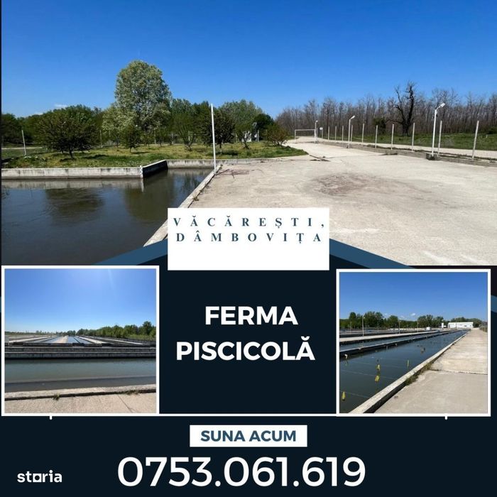 FERMA PISCICOLĂ ~ Salcioara ~ Dâmbovița