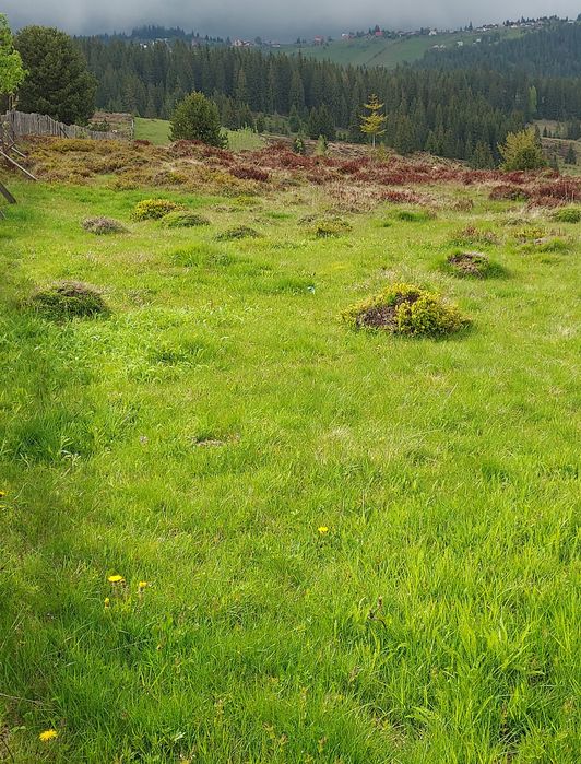 Vând teren la un preț foarte bun
