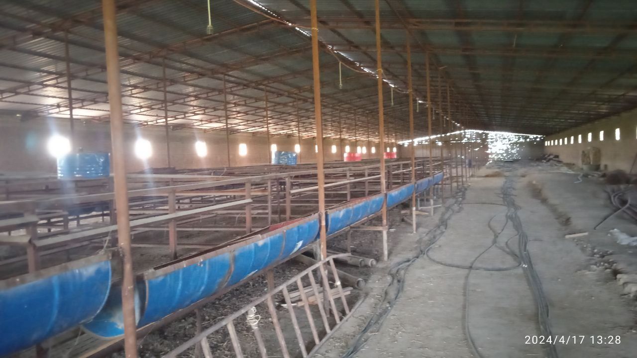Qo‘y va qo‘yhona sotiladi