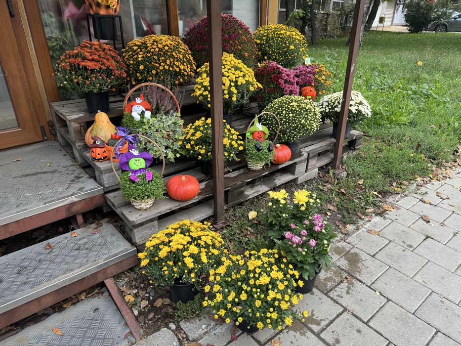 Цветарски магазин Топ локация