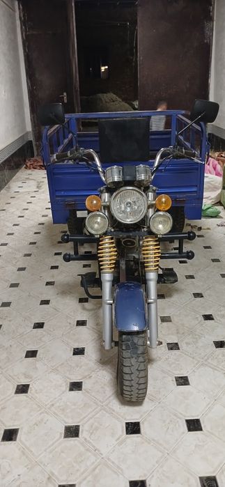 Муравей Tenglong