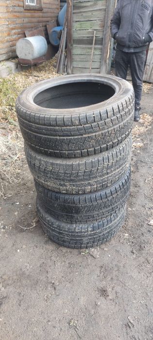 Шины зимние TRIANGLE