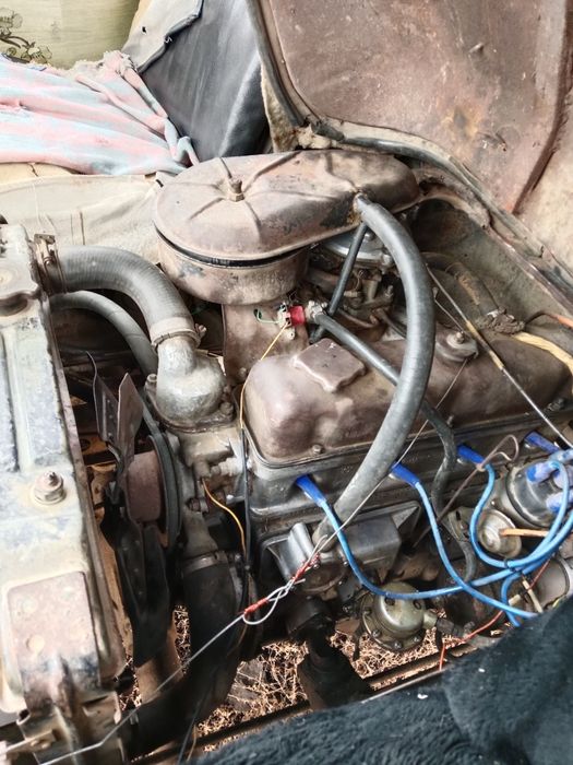 Продается головастик