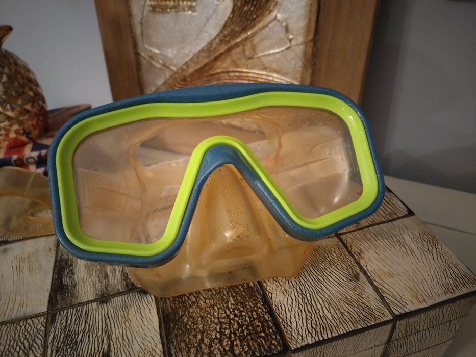 Оригинални професионални очила Спийдо за подводно плуване и гмуркане.