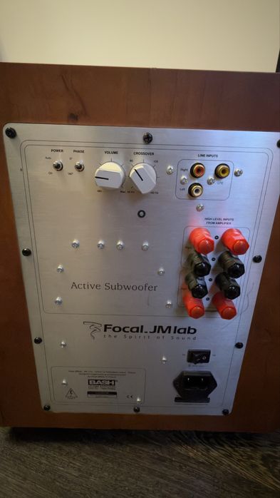 Focal 10 inch subwoofer