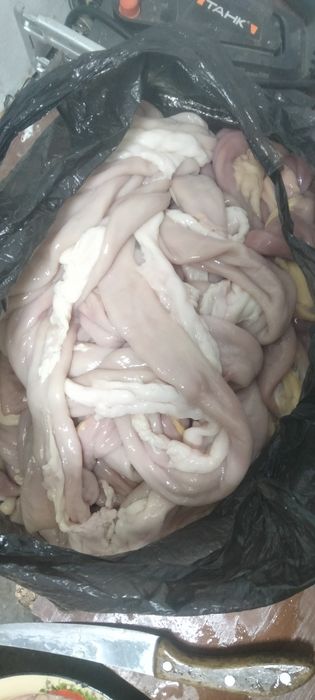 Продам шек конины