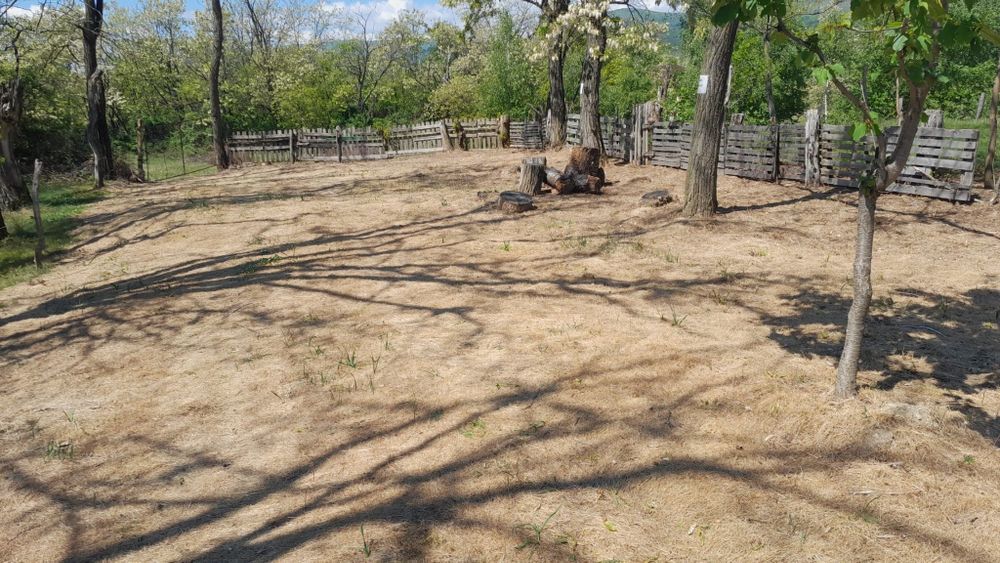 Vând livadă cu cireși 3861 mp  Sat Curpen,Com Stănesti