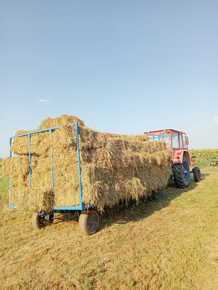 Vând baloți de lucernă coasa a 3