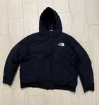 Geaca the north face