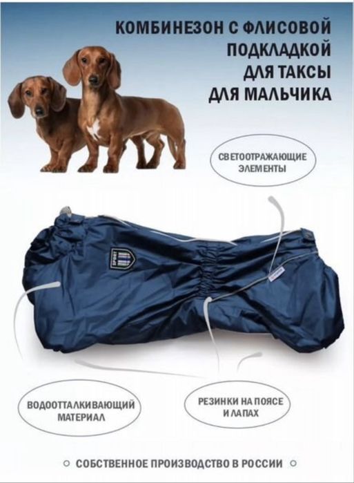 Комбинезон для таксы мальчика