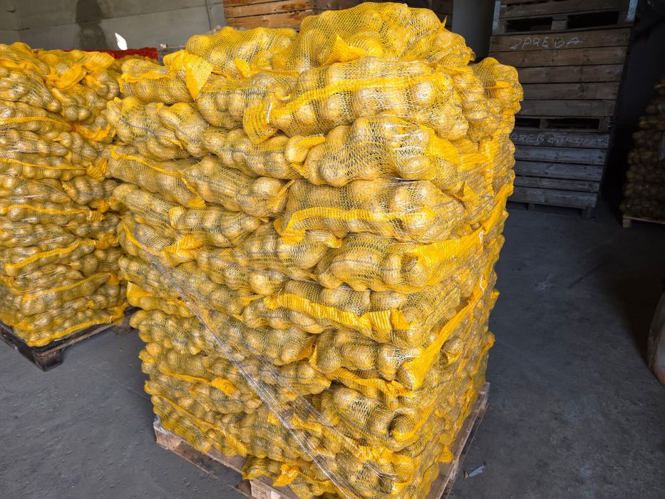 Vand cartof ambalat 10 kg