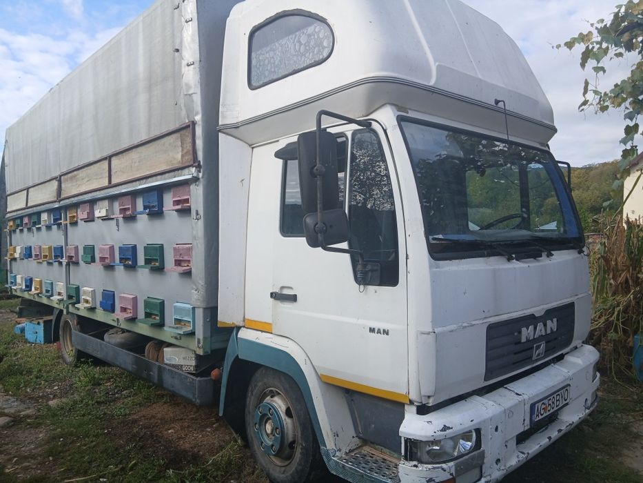Anunț: Camion apicol MAN 7,5 tone – disponibil cu sau fără stupi!

Pun
