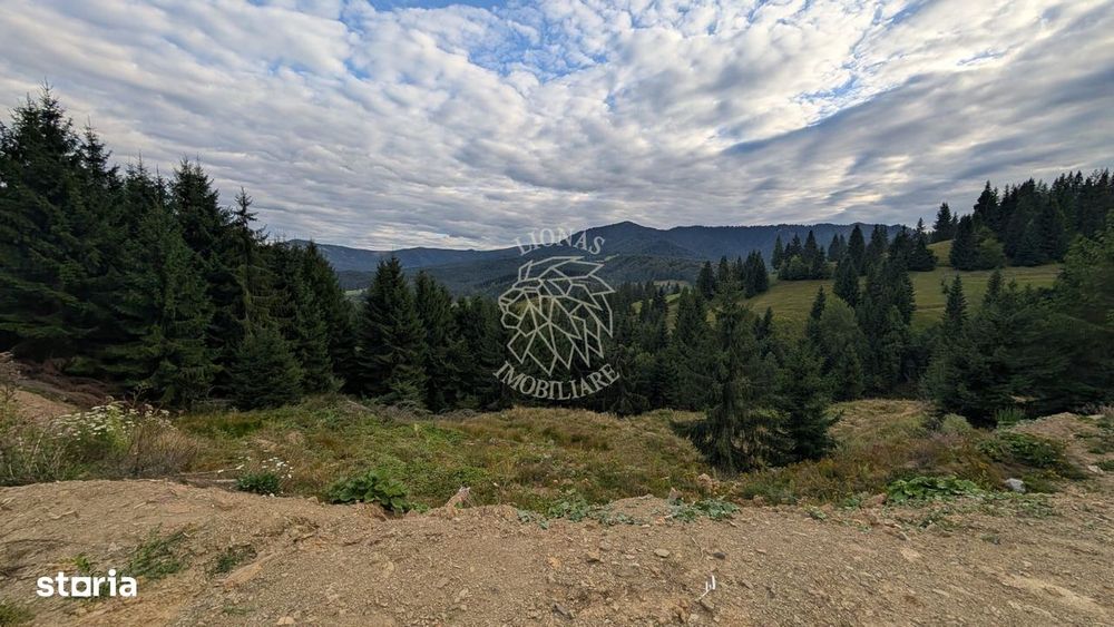 Parcele teren intravilan cu utilitati-panoramic-Colibita