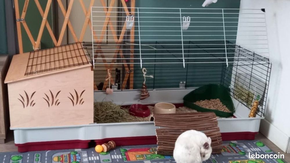 Cușcă nouă pentru iepuri/rozătoare - New rabbit/rodent cage