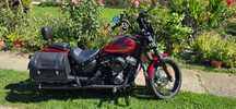 Harley-Davidson Softail Street Bob Harley Davidson Street Bob 2019 - ca noua