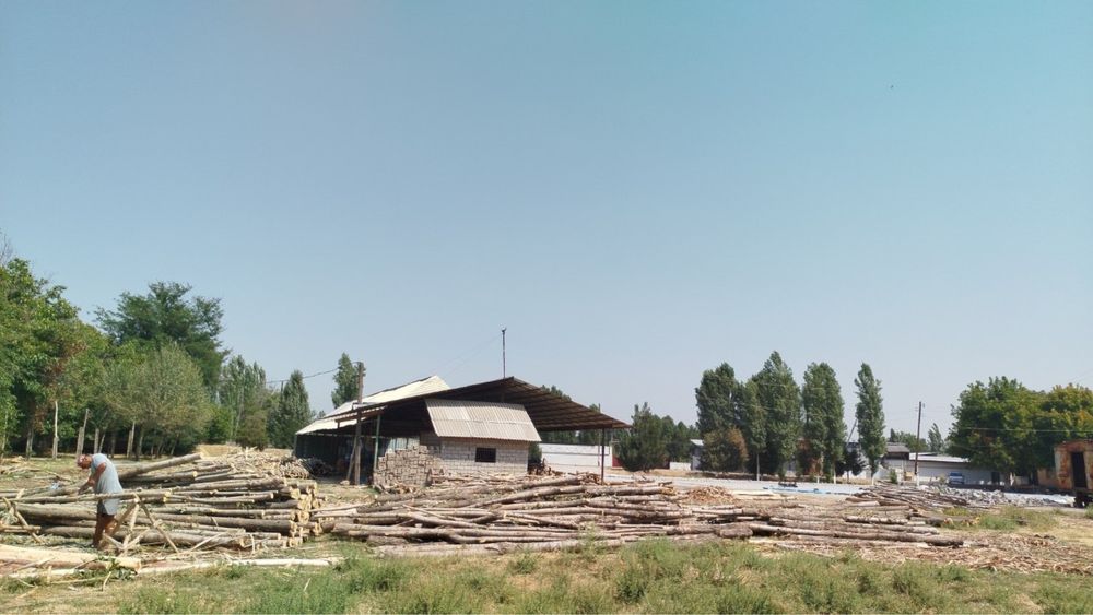 Srochno prodayotca gotoviy biznes s 76 sotki zemli mojno pod kodtej